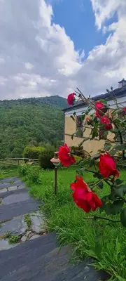 a group of red roses sitting next to a building at Apartamentos Rurales El Bosque de las Viñas in Boal