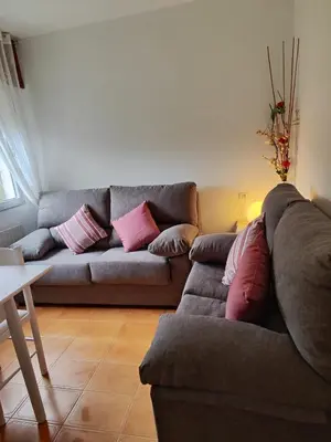 a living room with a gray couch and pink pillows at Casa da Fontiña in Seoane