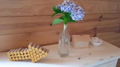 a vase with blue hydrangeas in it on a table at Albergue A Nave de Ferreira in Lugo