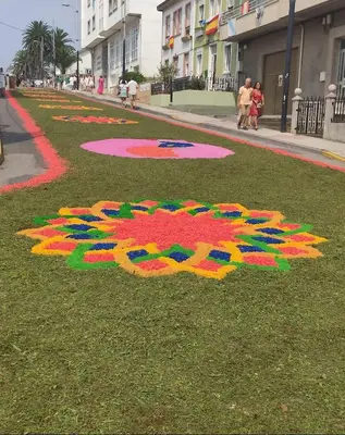 a painting of a flower on the grass at Foz, ven y disfruta Galicia in Foz