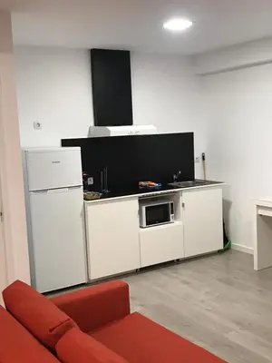a kitchen with a refrigerator and a microwave at Nest Flats Santiago VUT in Santiago de Compostela