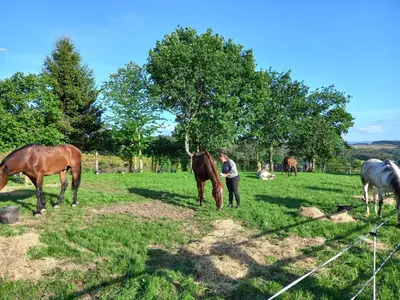 a man standing next to a horse in a field at Hotel La Puerta de Arzúa in Arzúa