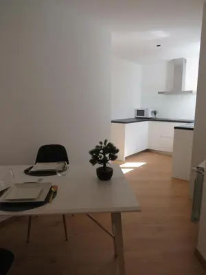 a table with a potted plant on it in a kitchen at APARTAMENTOS ARMANYA 3 in Lugo