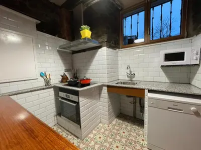a kitchen with a sink and a stove top oven at Casa Osu Pardo VuT in Caboalles de Abajo