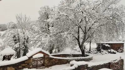 a house covered in snow next to a tree at Casas Eladio-Doncos in Torés