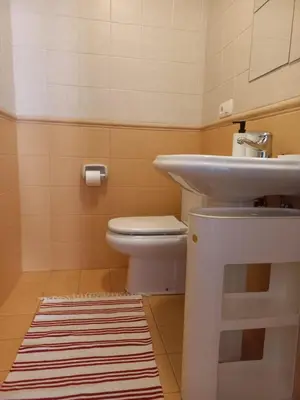 a bathroom with a sink and a toilet and a rug at Tapia in Tapia de Casariego