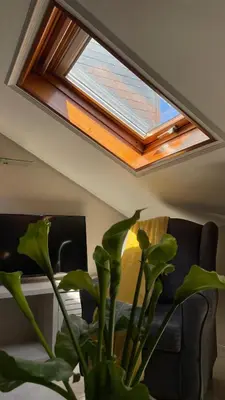 a skylight in a living room with a plant at Alfonso Vll in Caldas de Reis