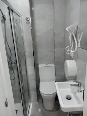a bathroom with a toilet and a sink and a shower at Pension Ameneiral in O Pedrouzo