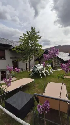 a yard with picnic tables and trees with purple flowers at CASA RURAL PAJARICA en Sanabria in San Ciprián