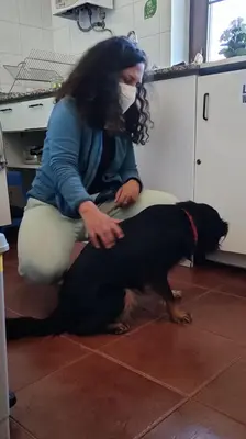 a woman sitting on the floor petting a black dog at Albergue La Senda in Rabanal del Camino