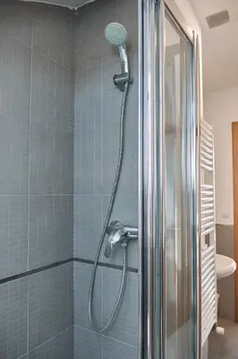a shower with a shower head in a bathroom at Pensión A Solaina 3 in O Pedrouzo