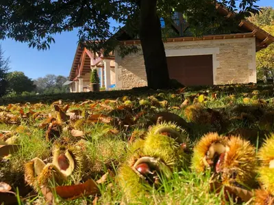 a field full of flowers in front of a house at Hotel Batán in Villalba