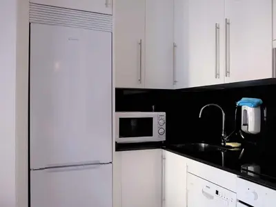 a kitchen with a white refrigerator and a sink at Apartment in Ourense near Hot Springs in Ourense