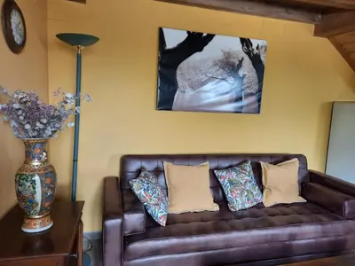 a living room with a brown leather couch and a vase of flowers at Apartamentos Alburiñas Ribeira Sacra in Bolmente