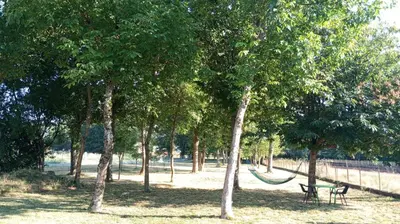 a park with a bench and a hammock between trees at Casa a Trepa in Villar de Barrio