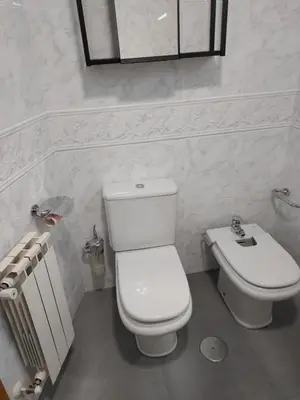 a white bathroom with a toilet and a sink at Apartamento Calzada Romana in Lugo