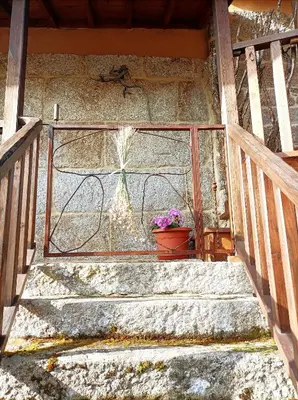 a plant in a pot sitting on the stairs at Apartamento Da Moura in Maus de Salas