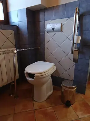 a bathroom with a toilet and a roll of toilet paper at Hotel y Apartamentos Penarronda Playa in Castropol