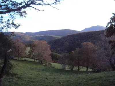 a green field with trees and mountains in the background at Casa de Lucas in Fonfría
