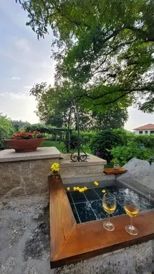 a fountain with two glasses of wine in it at La casita 