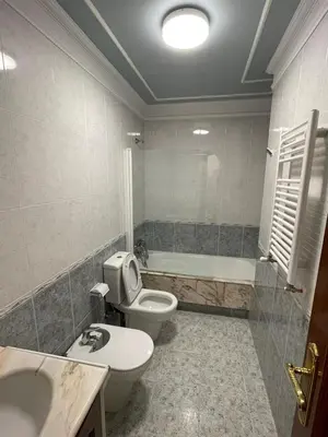 a bathroom with a toilet and a sink and a tub at Alojamiento Apostol 2 in Melide