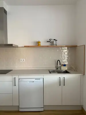 a white kitchen with a sink and a dishwasher at Casa Morín, apartamento Ribeira Sacra in Monforte de Lemos