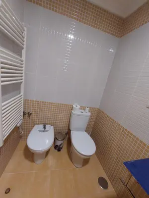 a bathroom with a toilet and a sink at Casa Tarrazo in Monforte de Lemos
