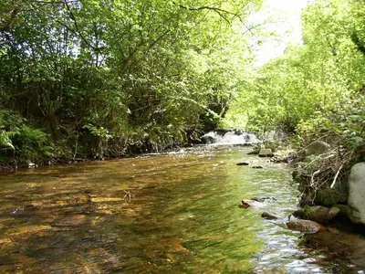 a stream of water with trees and a waterfall at Apartamentos Rurales Ca Lulón in Navelgas