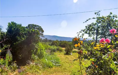 a view of a garden with flowers and trees at Stunning Home In A Peroxa With Wifi in La Peroja
