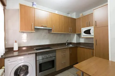 a kitchen with a washing machine and a microwave at Apartamentos Casa Paulino in Taramundi