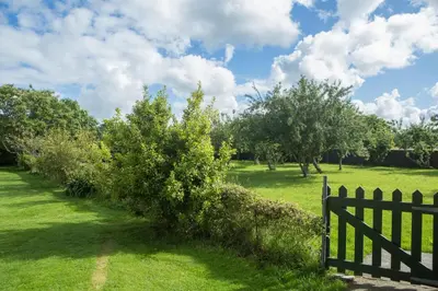 a fence in a field with trees and grass at Casa Jesús in A Capela