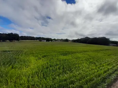 a large field of green grass with a cloudy sky at Apartamento a Carballeira in Lugo