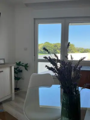 a room with a glass table and a vase with flowers at Apartamento a Carballeira in Lugo