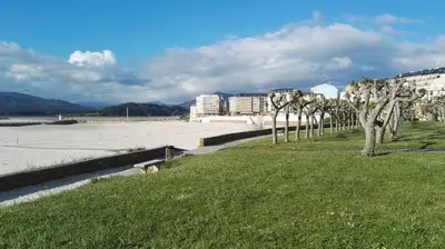 a row of trees in the grass next to a field at Terrazas del Cantábrico in Foz