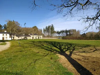 a tree in the middle of a grass field at Habitaciones La Cuevona de Guitiriz,Parga, en el camino norte Lugo in Parga