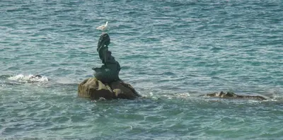 a bird sitting on top of a rock in the water at PISO PLAYA SAN CIPRIÁN (MARIÑA LUCENSE) in San Ciprián