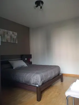 a bedroom with a bed in a room at Apartamentos xistra in Cangas del Narcea