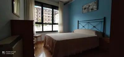 a bedroom with a bed and a window at Apartamentos xistra in Cangas del Narcea