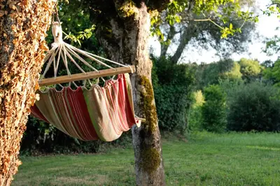 a hammock hanging from a tree in a park at Casa Meiga in Arzúa