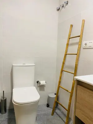 a bathroom with a toilet and a wooden ladder at Noreas Centro Lucus Augusti in Lugo