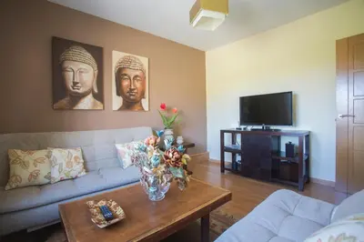 a living room with a couch and a table with flowers at Apartamentos Sarela in Santiago de Compostela