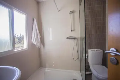 a bathroom with a toilet and a sink and a shower at Apartamentos Sarela in Santiago de Compostela
