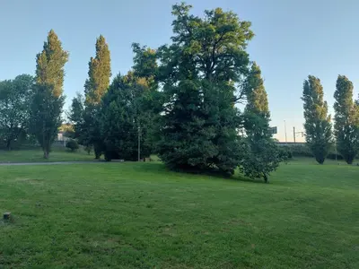 a large field with trees in the distance at Apartamento Vieiro con plaza garaje gratis in Santiago de Compostela