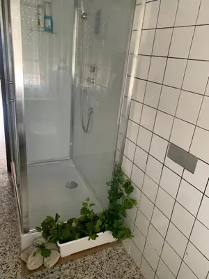 a bathroom with a shower with a plant at Apt Sueiras in Burela de Cabo