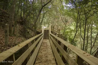 a wooden bridge with stairs in a forest at Casa Las Piedras in Padrenda