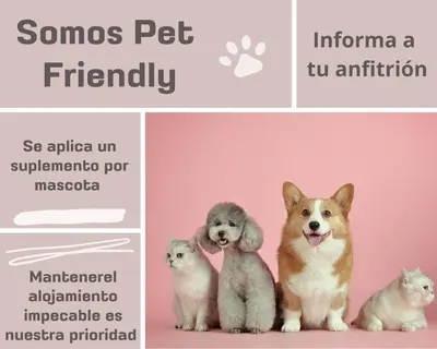 a dog and two cats sitting next to each other at Yellow Door 2 in Ponferrada