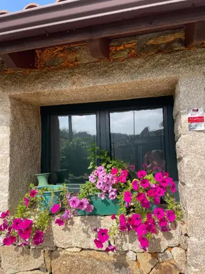 a window with pink flowers in a window box at A Casa do Abuelo in Ourense