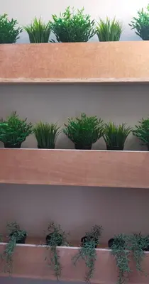 a bunch of potted plants sitting on a shelf at LOFT CON TERRAZA en el centro de Santiago de Compostela VUTCO 07320 in Santiago de Compostela