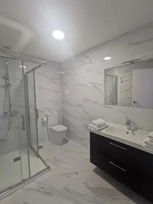 a bathroom with a shower and a sink and a toilet at Apartamentos Seijo in Villalba