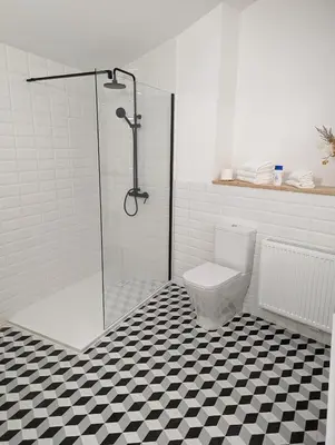 a bathroom with a shower stall and a toilet at Apartamentos Seijo in Villalba